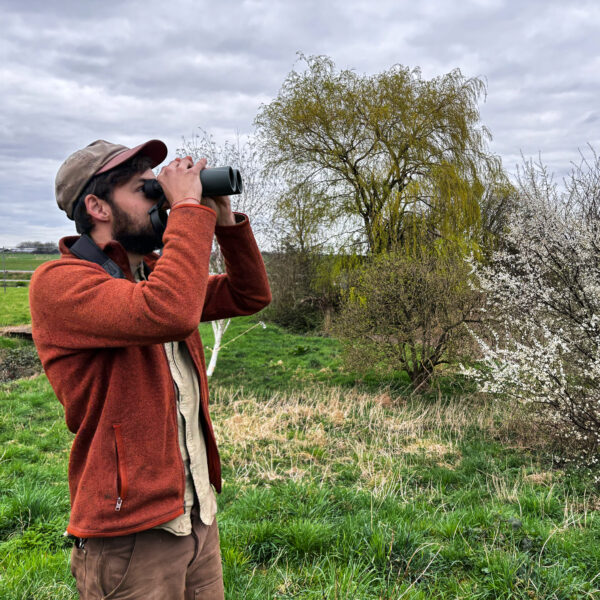 Vroege Vogels Excursie met Brunch 17 mei 2025 - Afbeelding 2