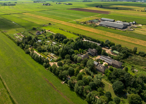 Vroege Vogels Excursie met Brunch 17 mei 2025 - Afbeelding 5