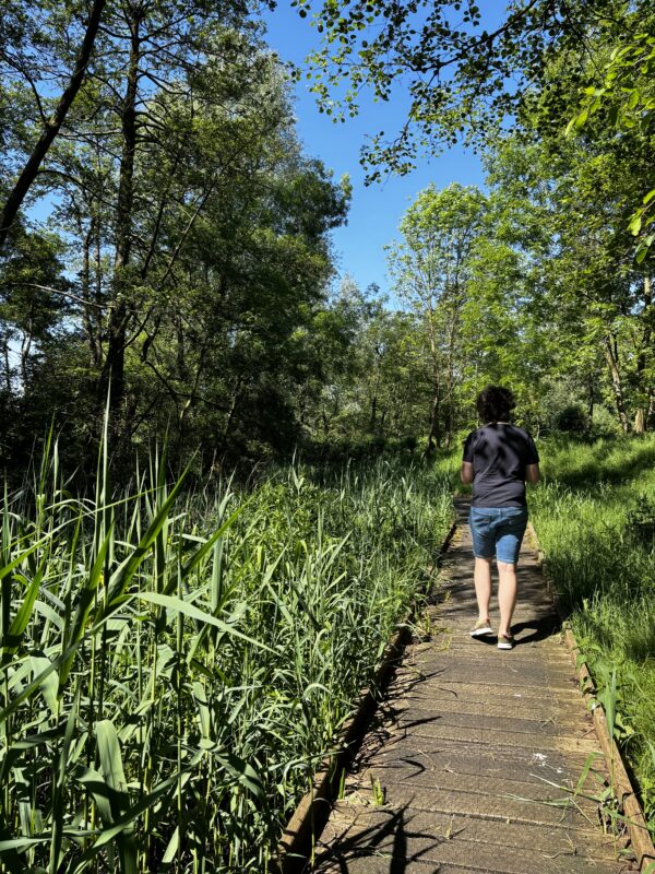 Vroege Vogels Excursie met Brunch 17 mei 2025 - Afbeelding 4