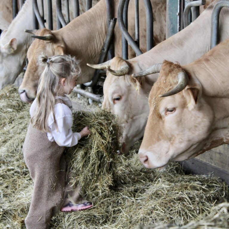 Helpen bij de boer op de Eemlandhoeve