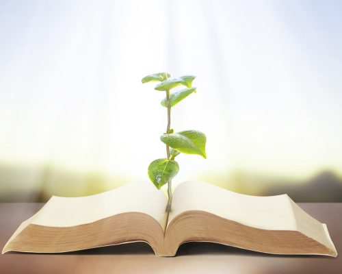 book of nature with grass and tree growth