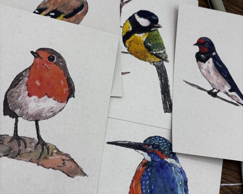 Aquarel geschilderde vogels door a Girl in the Field